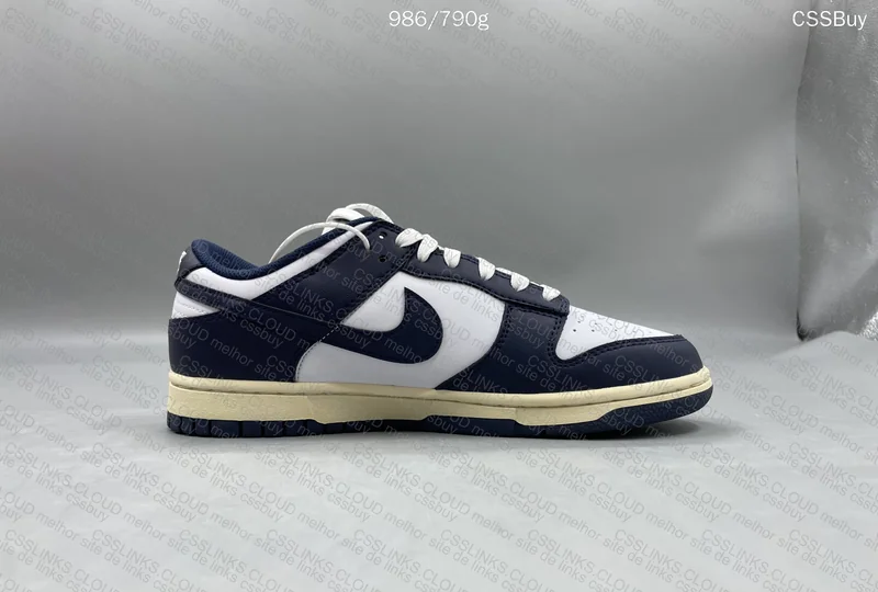 Dunk Navy blue 3