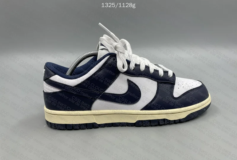 dunk Navy blue 5
