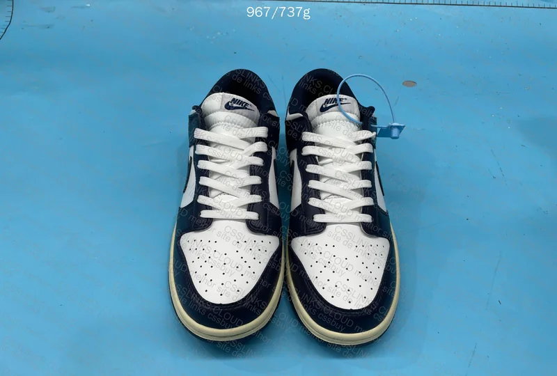 Dunk Navy Blue 2