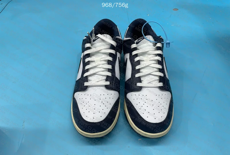 Dunk Navy Blue 10