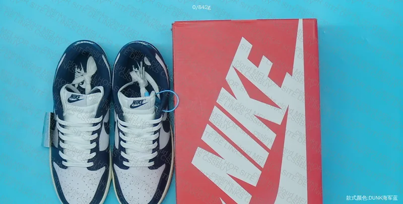 Dunk Navy Blue 2