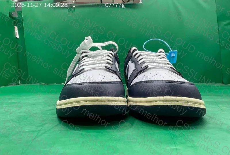 Dunk Navy Blue 2
