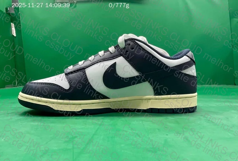 Dunk Navy Blue 5