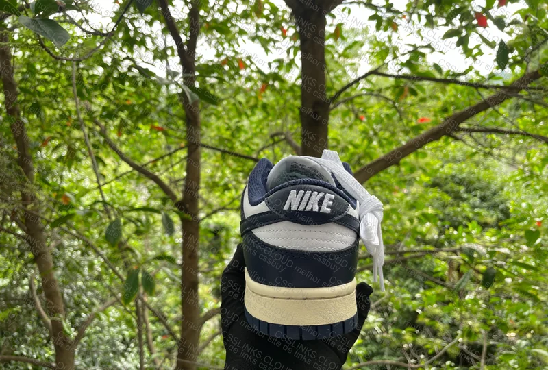 Dunk Navy Vintage (ajuda c swoosh, posicionamento...) 2