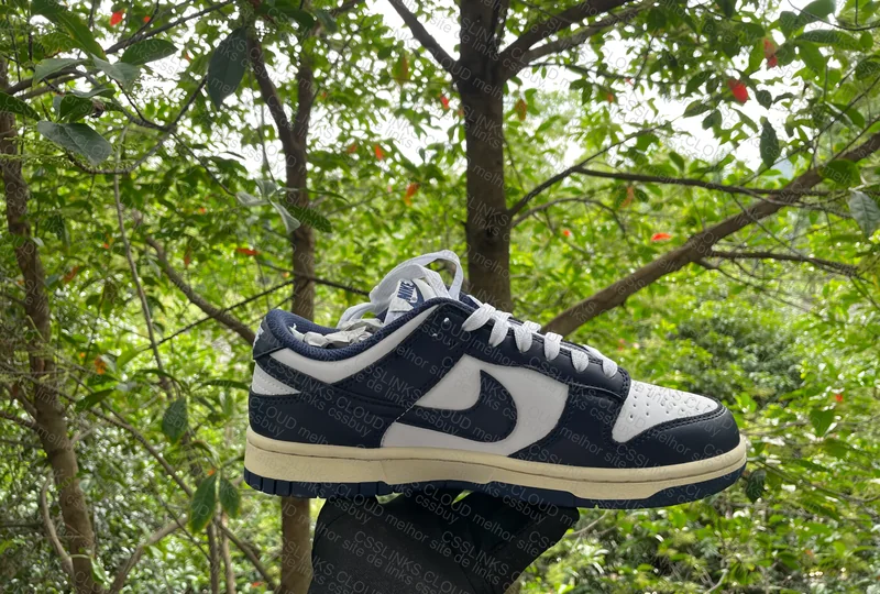Dunk Navy Vintage (ajuda c swoosh, posicionamento...) 3