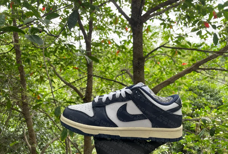 Dunk Navy Vintage (ajuda c swoosh, posicionamento...) 5