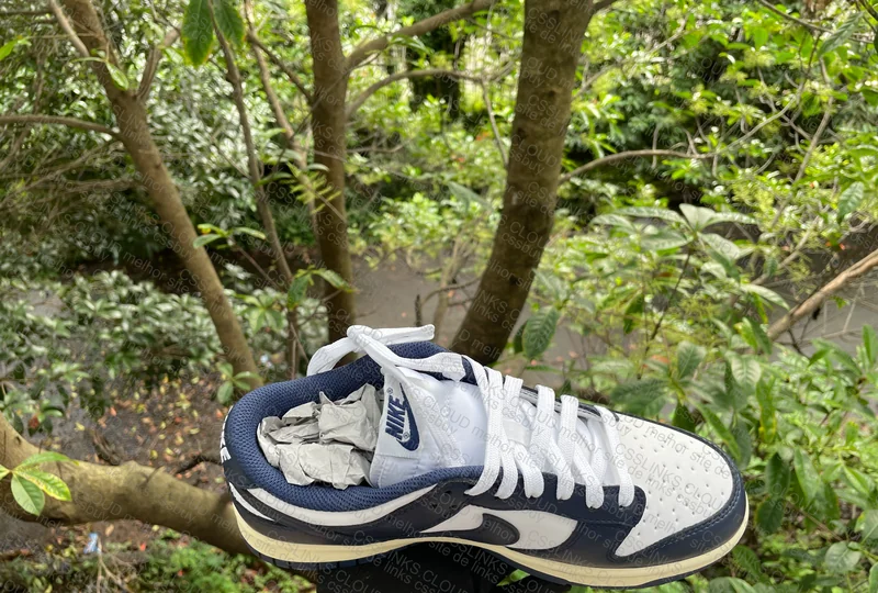 Dunk Navy Vintage (ajuda c swoosh, posicionamento...) 7
