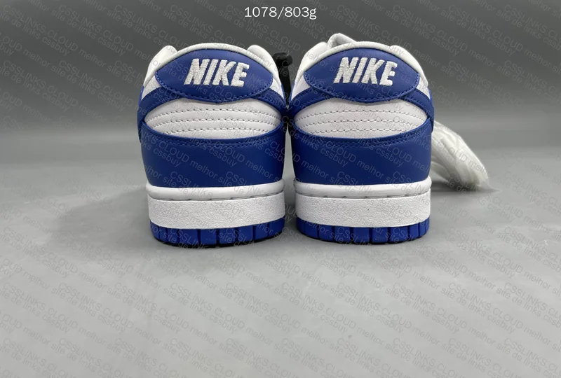 Dunk new vt 3