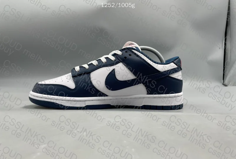 Dunk NEW VT 2
