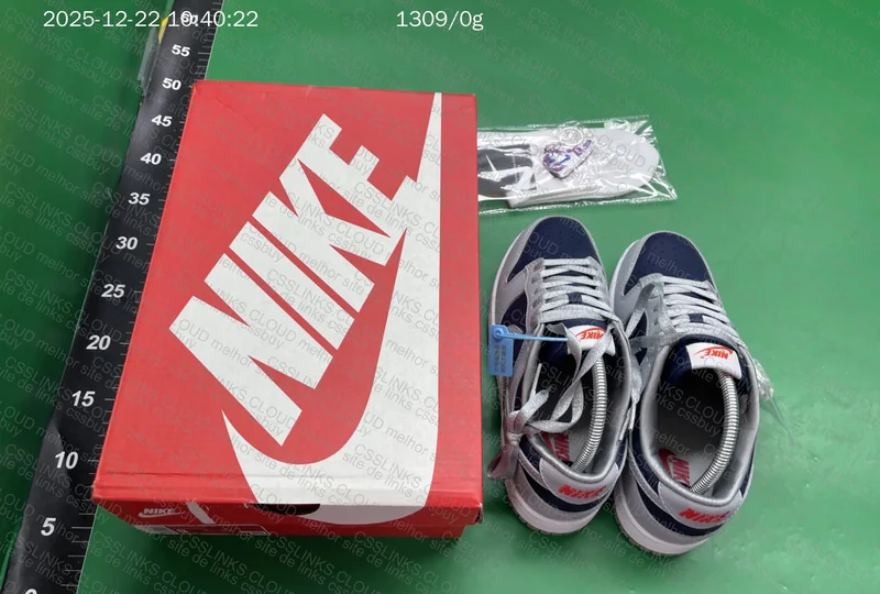 Dunk New vt