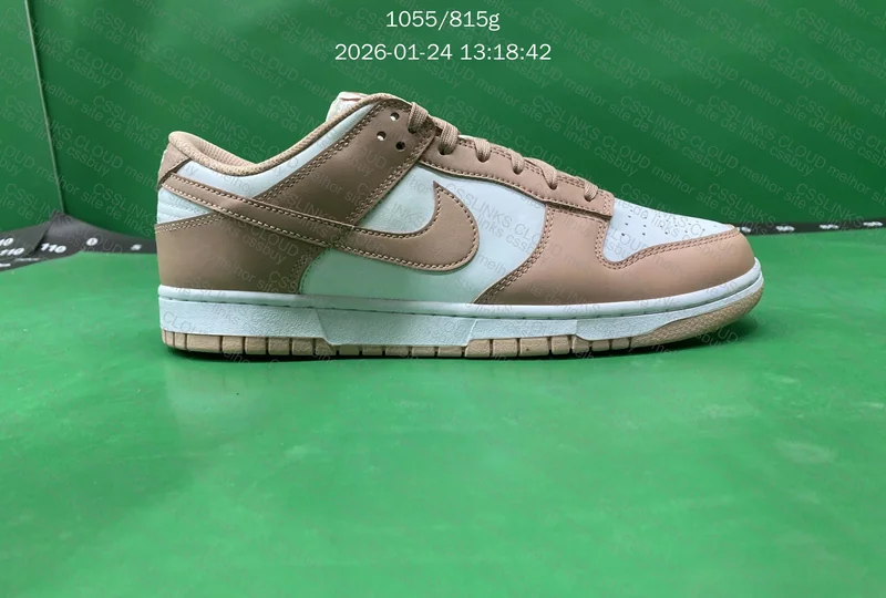Dunk New Vt 5