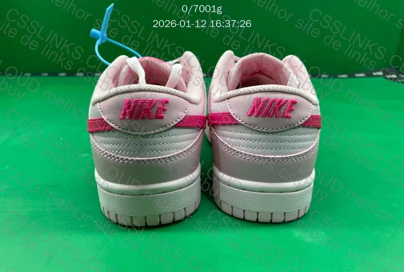 Dunk New Vt mais pesado do mundo 5