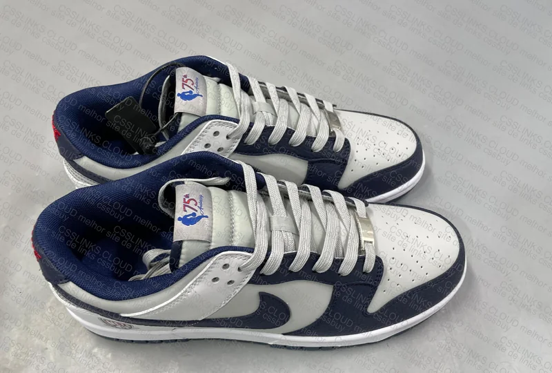 DUNK NEW VT NETS