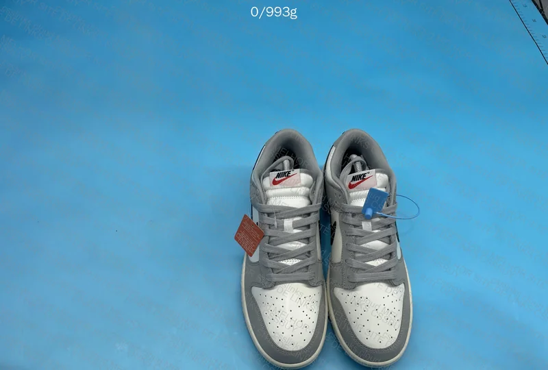 Nike Dunk Gray
