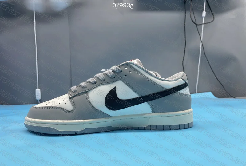Nike Dunk Gray 5