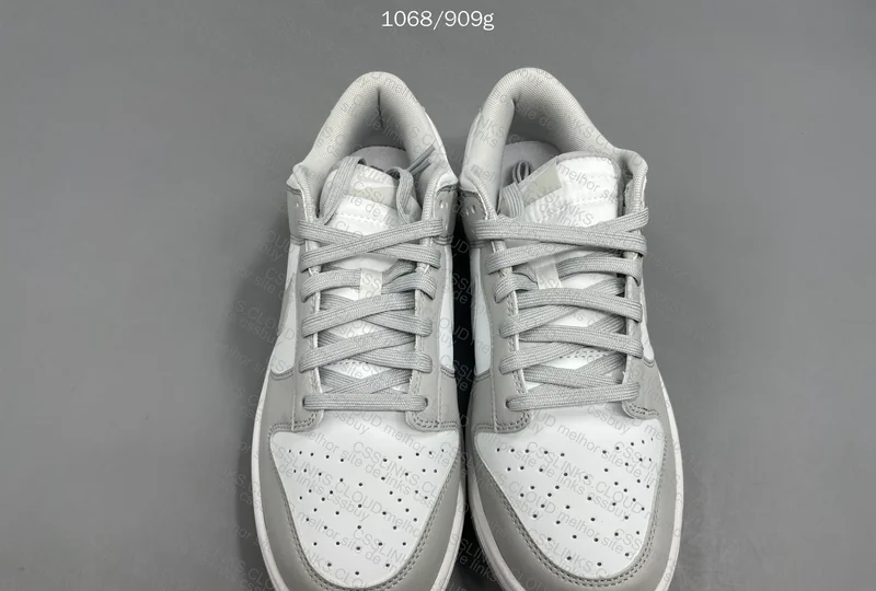 Dunk Nike Gray 2