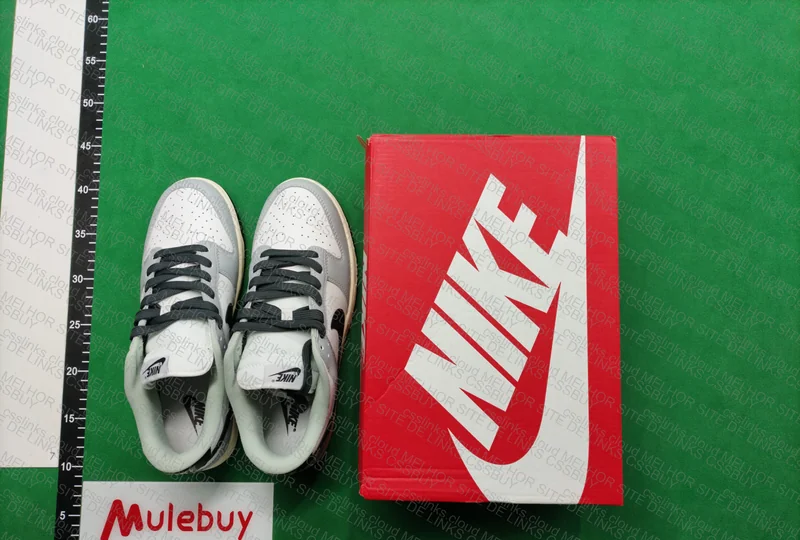 Dunk at Good Price 5