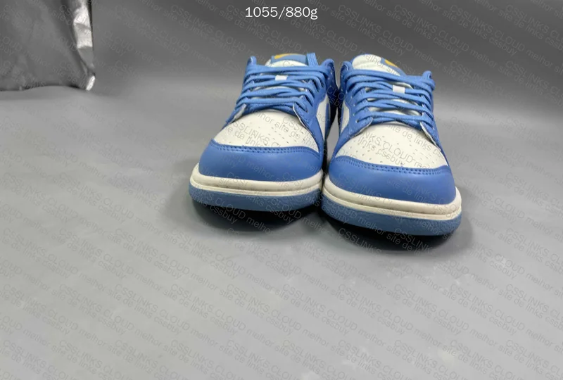 Dunk North Carolina Blue 2