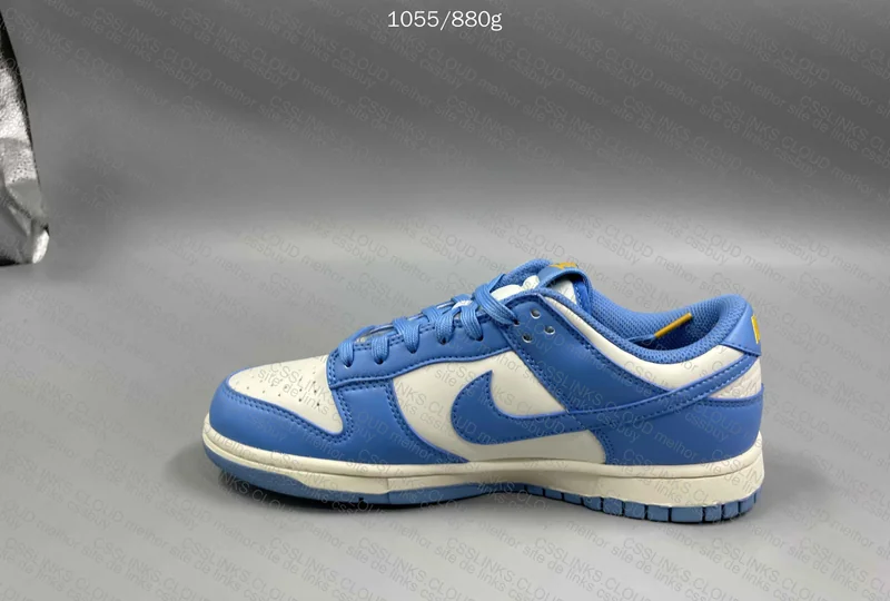 Dunk North Carolina Blue 3