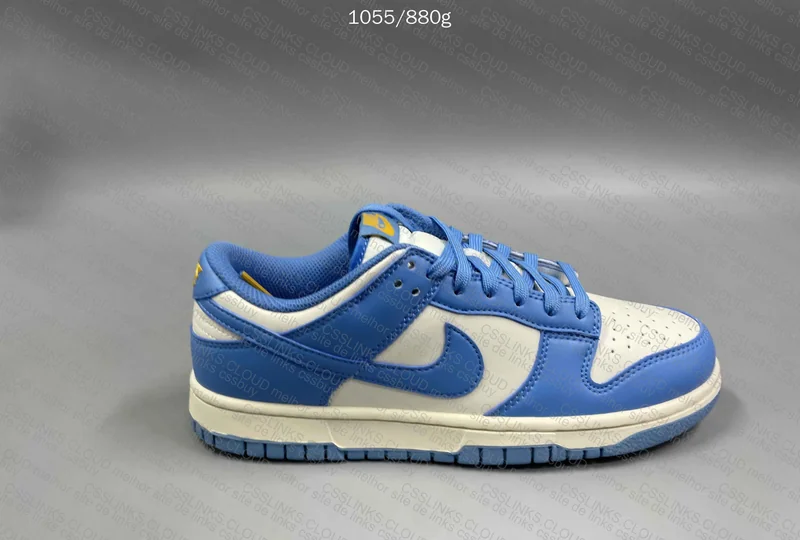 Dunk North Carolina Blue 4