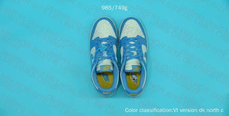 Dunk North Carolina Blue 3