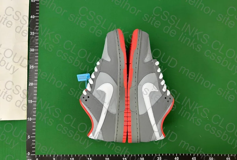 Dunk Nyc pigeon 2