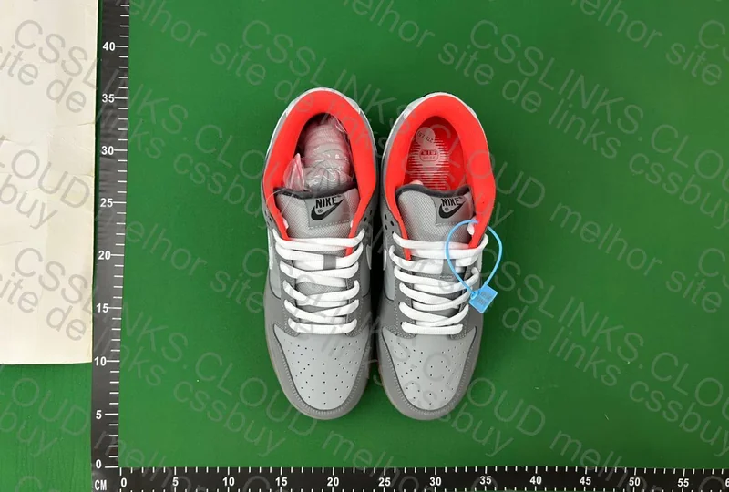 Dunk Nyc pigeon 3