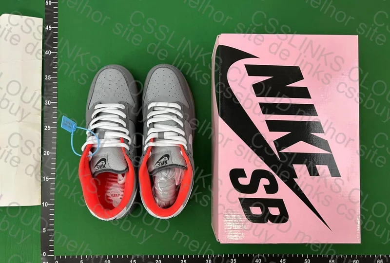 Dunk Nyc pigeon 4
