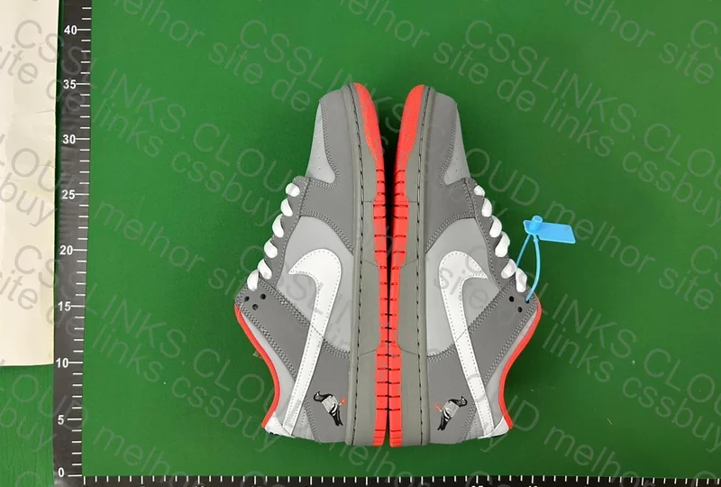 Dunk Nyc pigeon 5
