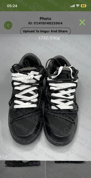 Dunk Off White lot50