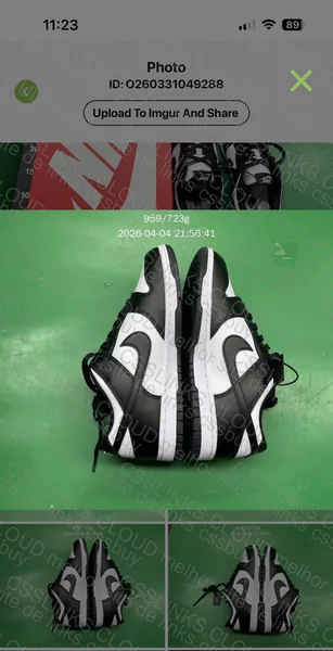 Dunk Panda Batch Vt, (GL????)