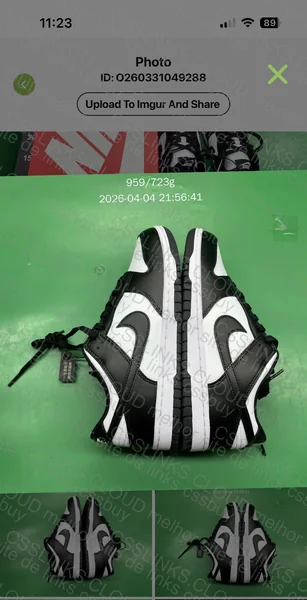 Dunk Panda Batch Vt, (GL????) 3