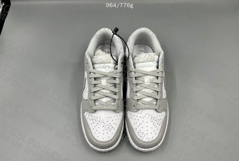 Dunk Photo Dust 4
