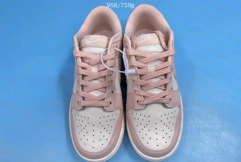 Dunk for the Girl 10