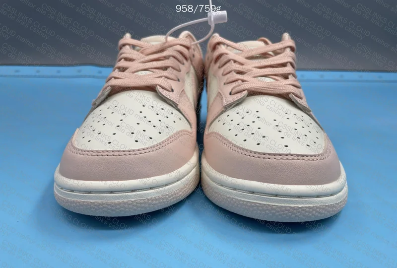 Dunk for the Girl 9