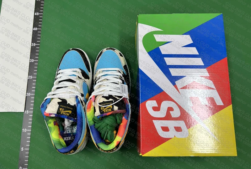 Dunk SB Ben&Jerry M 3