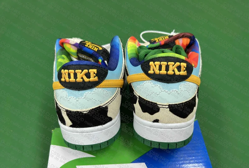 Dunk SB Ben&Jerry M 4