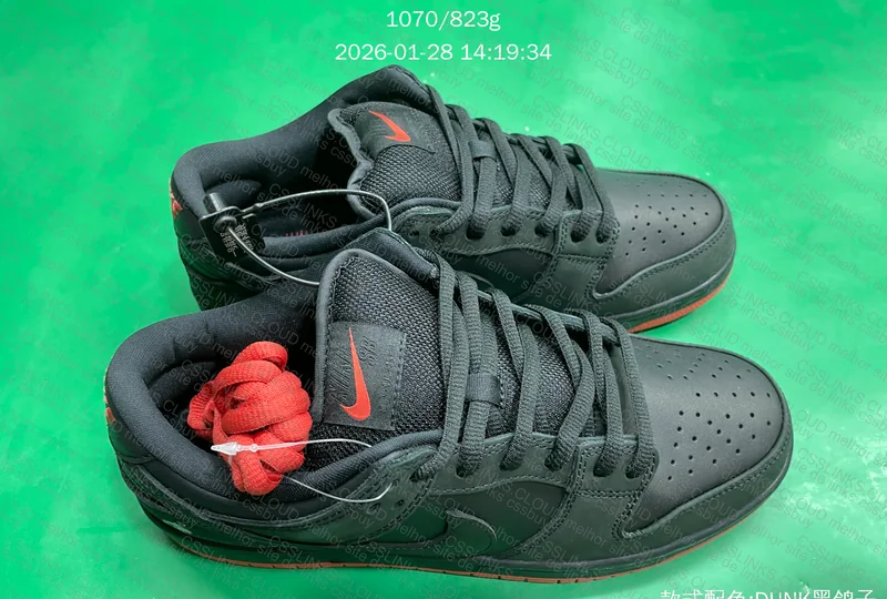 Dunk SB - Black Pigeon 2