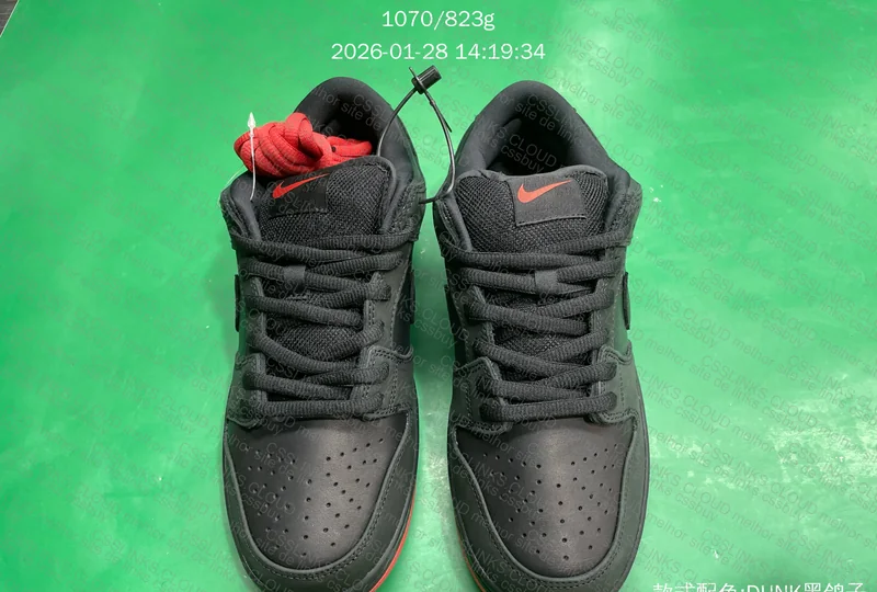 Dunk SB - Black Pigeon 4
