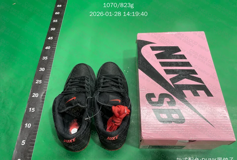 Dunk SB - Black Pigeon 6