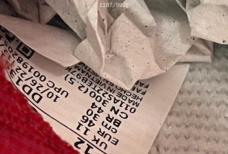 Dunk SB BLINDBOX