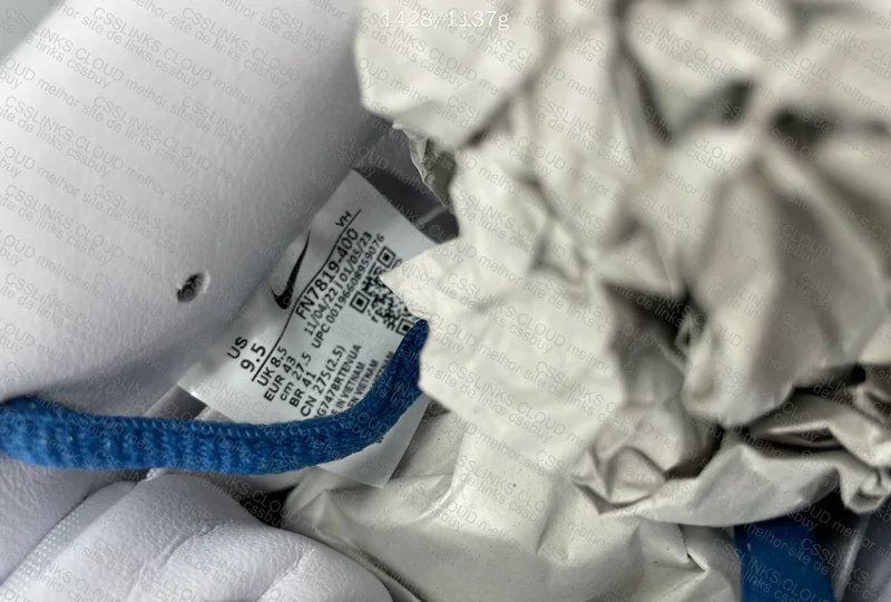 Dunk SB Born x Raised 4