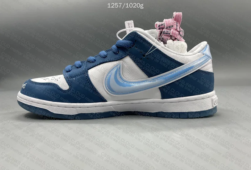 Dunk SB Born x Raised GT 10