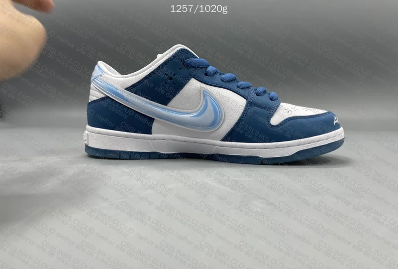 Dunk SB Born x Raised GT 2