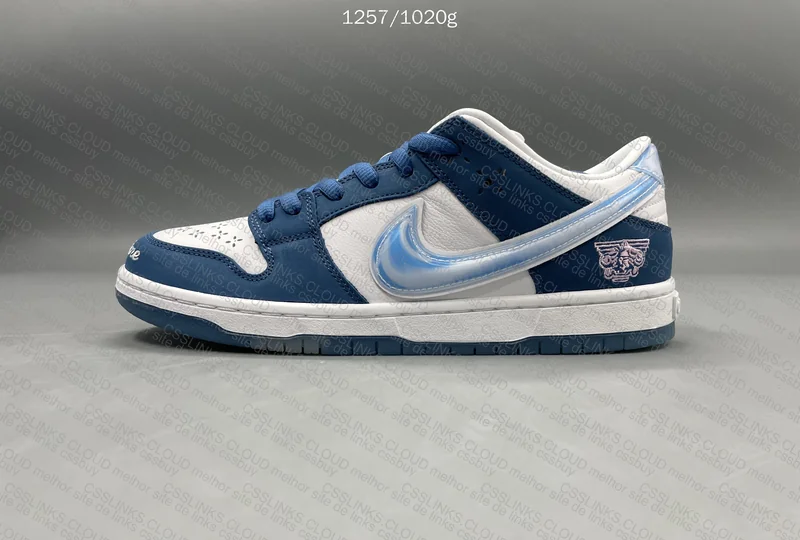 Dunk SB Born x Raised GT 5