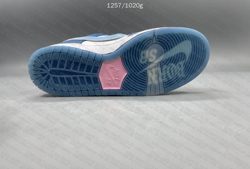Dunk SB Born x Raised GT 6