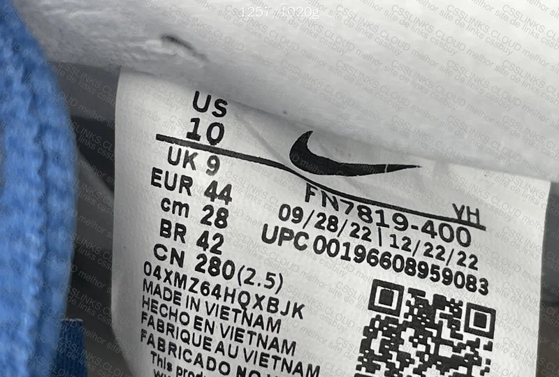 Dunk SB Born x Raised GT 7