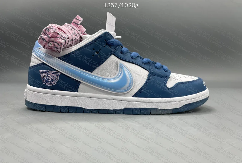 Dunk SB Born x Raised GT 8