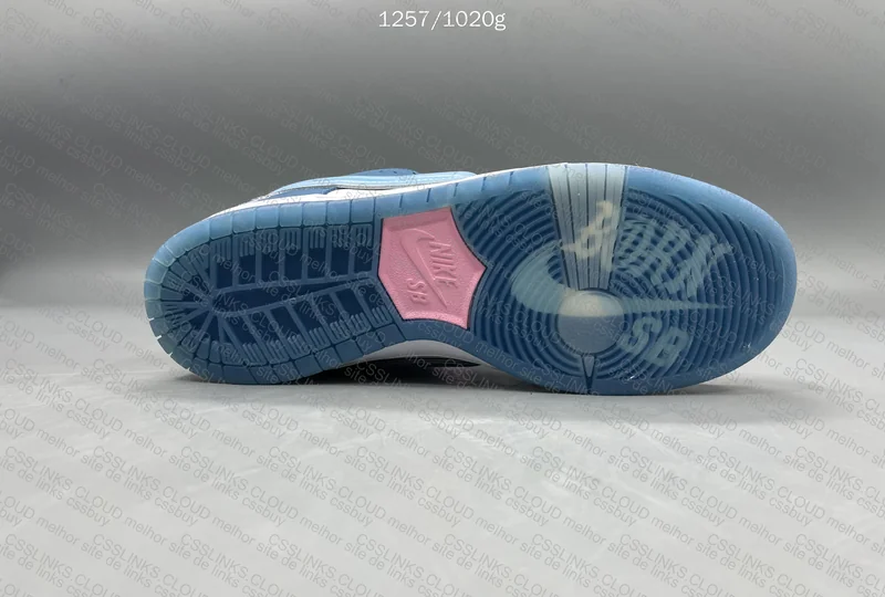 Dunk SB Born x Raised GT 9