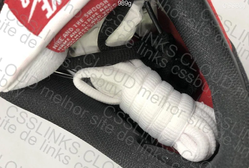 Dunk SB chicago 11